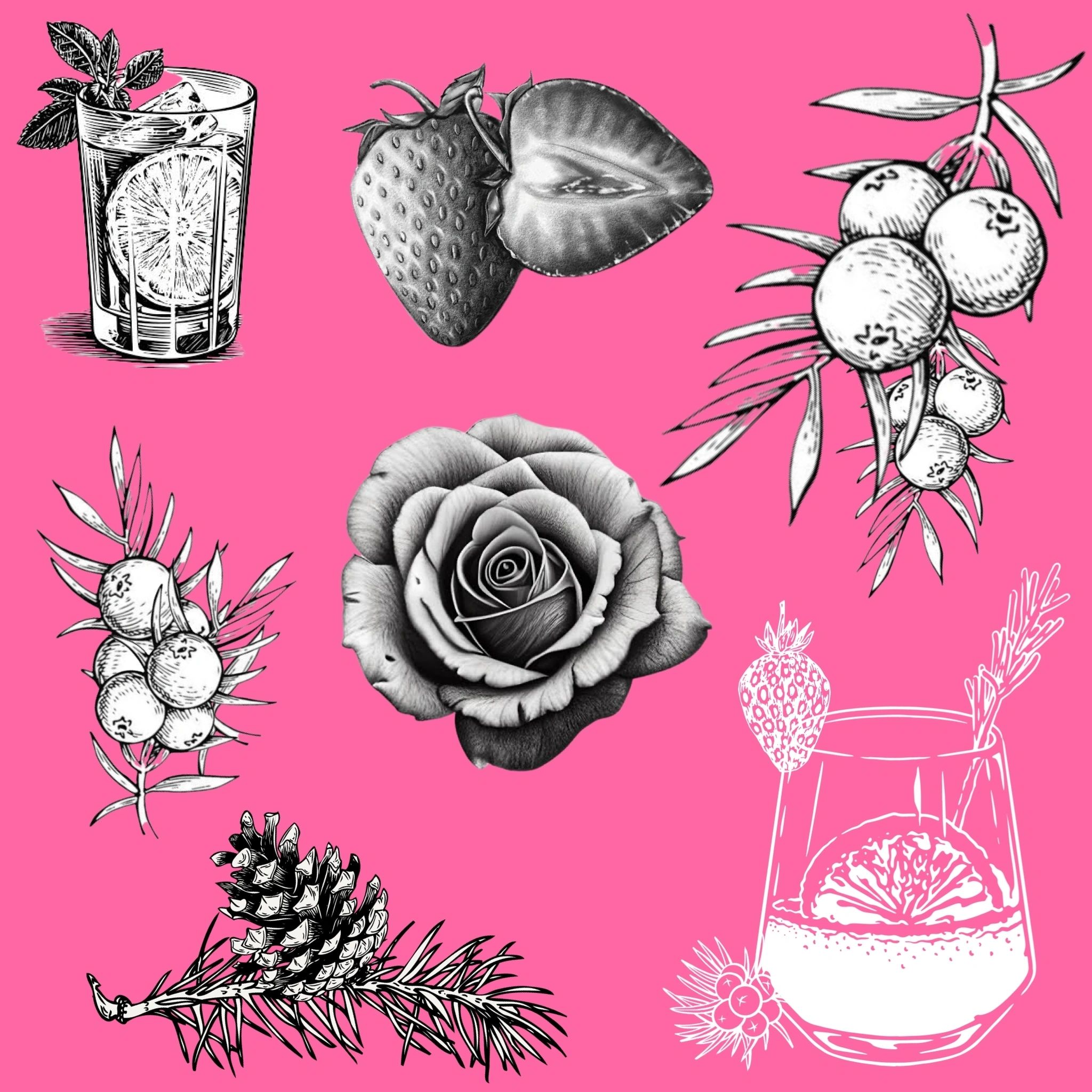 Pink G&T Gin Cocktail